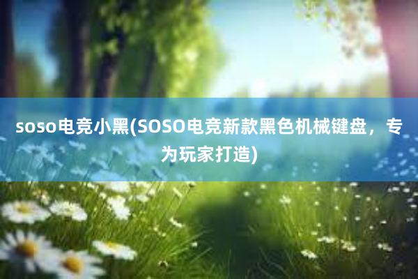 soso电竞小黑(SOSO电竞新款黑色机械键盘，专为玩家打造)