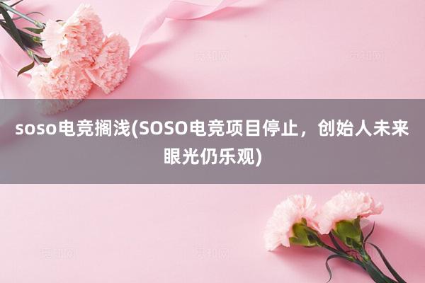 soso电竞搁浅(SOSO电竞项目停止，创始人未来眼光仍乐观)