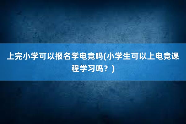 上完小学可以报名学电竞吗(小学生可以上电竞课程学习吗？)