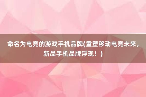 命名为电竞的游戏手机品牌(重塑移动电竞未来，新品手机品牌浮现！)