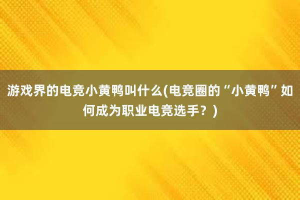 游戏界的电竞小黄鸭叫什么(电竞圈的“小黄鸭”如何成为职业电竞选手？)