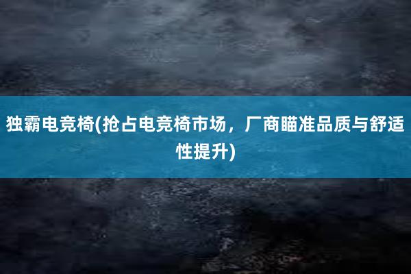 独霸电竞椅(抢占电竞椅市场，厂商瞄准品质与舒适性提升)