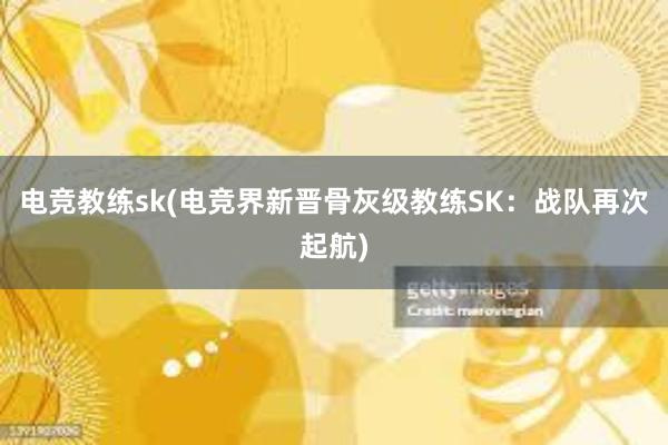 电竞教练sk(电竞界新晋骨灰级教练SK：战队再次起航)