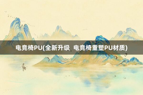 电竞椅PU(全新升级  电竞椅重塑PU材质)