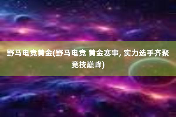 野马电竞黄金(野马电竞 黄金赛事， 实力选手齐聚竞技巅峰)