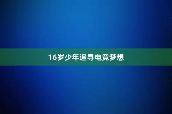 16岁少年追寻电竞梦想