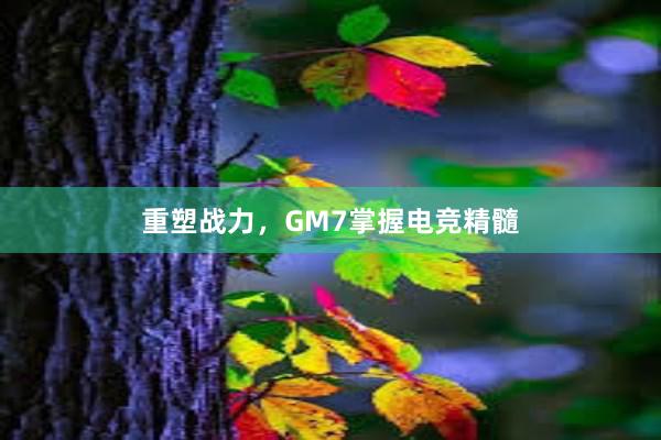 重塑战力，GM7掌握电竞精髓