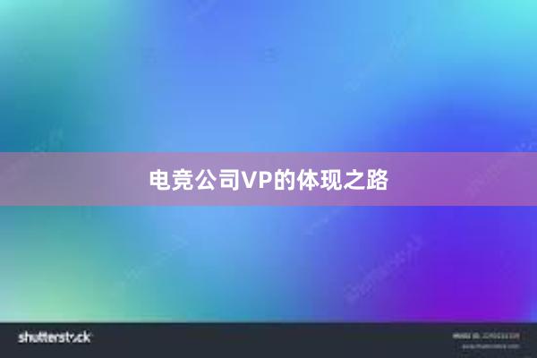 电竞公司VP的体现之路