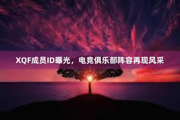 XQF成员ID曝光，电竞俱乐部阵容再现风采