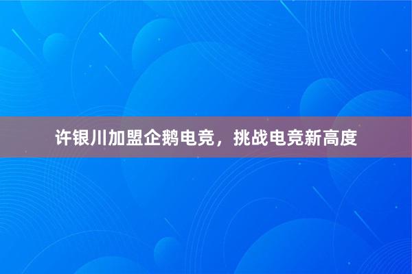 许银川加盟企鹅电竞，挑战电竞新高度