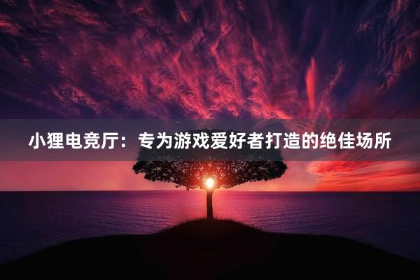 小狸电竞厅：专为游戏爱好者打造的绝佳场所