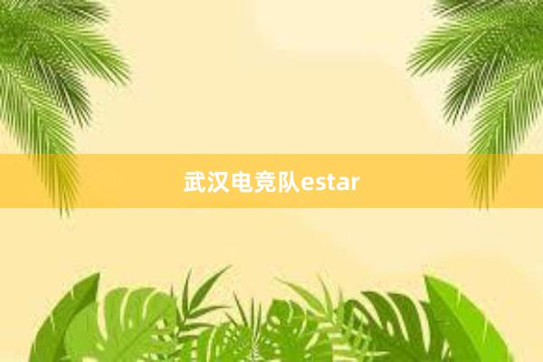 武汉电竞队estar