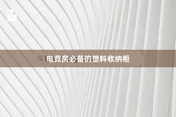 电竞房必备的塑料收纳柜