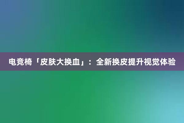 电竞椅「皮肤大换血」：全新换皮提升视觉体验